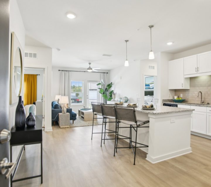 Avion-Apartments-Jacksonville-23-web-or-mls-Tibbets Ln-01042025-021